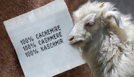 Určuje cena kvalitu? Zisťovali sme, čo stojí za cenovými rozdielmi kašmírových svetrov