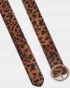Hnedý opasok s leopardím vzorom Dorothy Perkins galéria