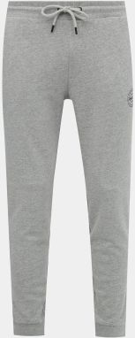 Svetlošedé tepláky Jack & Jones Gordon