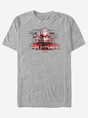 Ant-Man and The Wasp ZOOT. FAN Marvel - unisex tričko