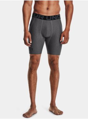 Šortky Under Armour UA HG Armour Shorts - šedá