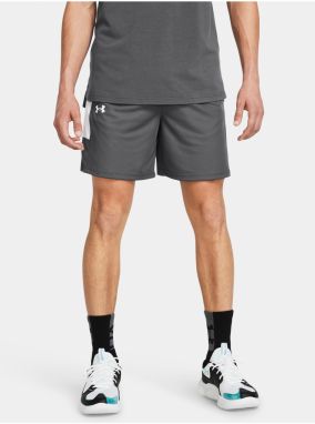 Pánske kraťasy Under Armour UA Baseline Short