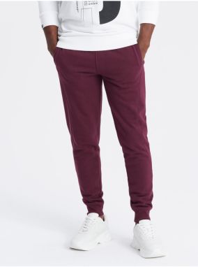 Pánske bavlnené tepláky BASIC joggers Ombre Clothing Ombre Clothing