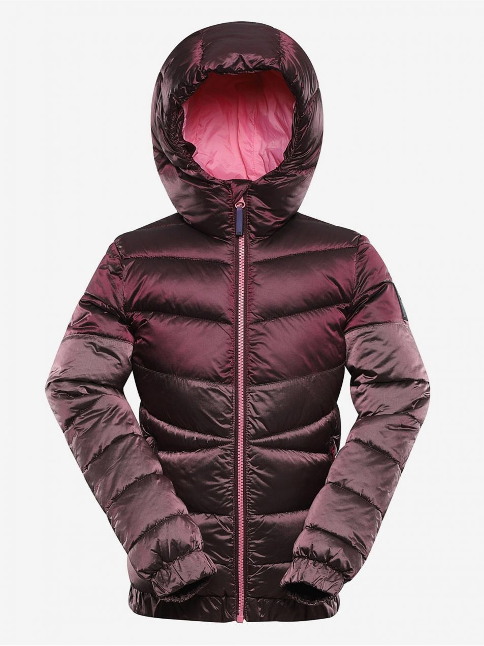 Alpine Pro