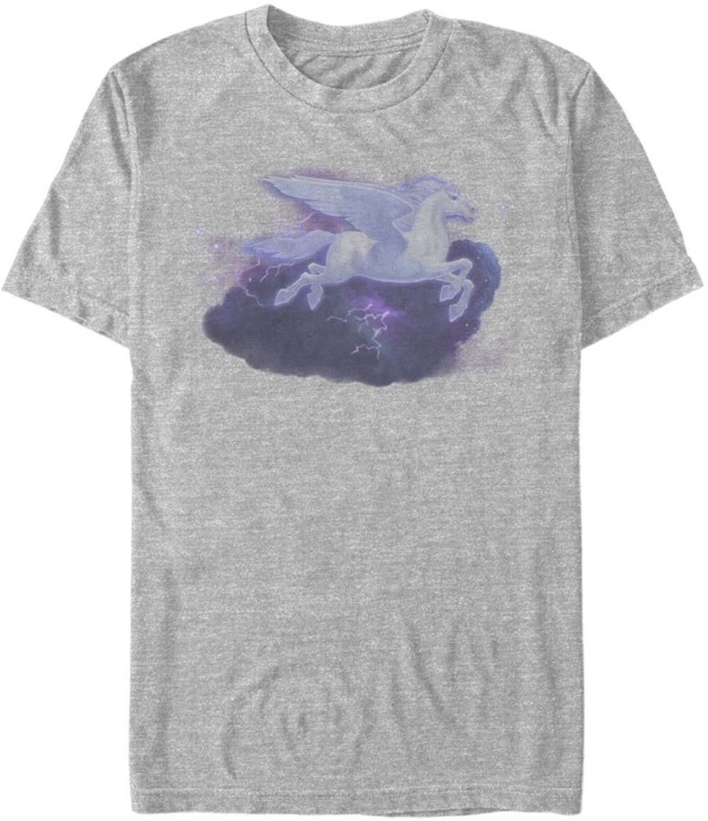 ZOOT.FAN pre mužov ZOOT.Fan - sivá