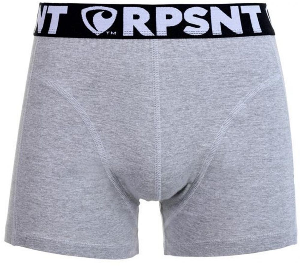 Pánske trenírky EXCLUSIVE SPORT GREY Represent