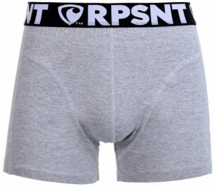 Pánske trenírky EXCLUSIVE SPORT GREY Represent