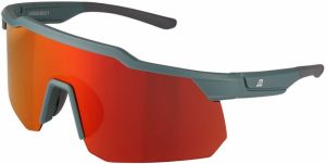 Slnečné okuliare ALPINE PRO BEDHE