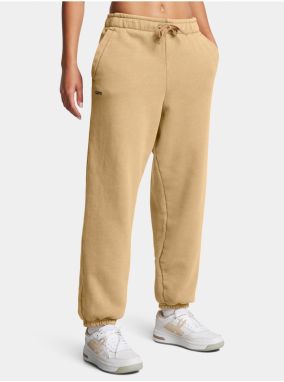 Dámske nohavice Under Armour UA Icon HWT Flc OS Pant-BRN