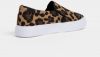 Hnedé slip on s leopardím vzorom Dorothy Perkins galéria