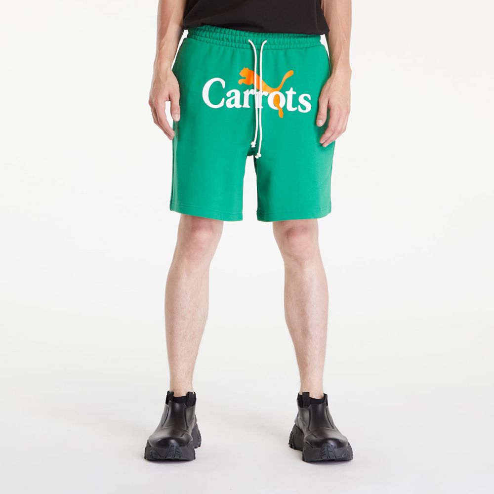 PUMA x Carrots Shorts 7