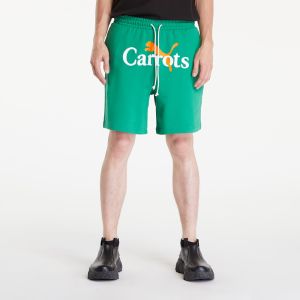 PUMA x Carrots Shorts 7