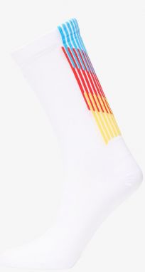 Salomon Pulse Race Flag Crew Sock White M