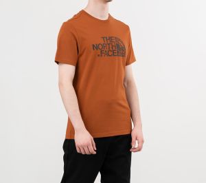 The North Face Wood Dome Tee Caramel Cafe