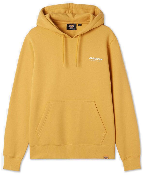 Dickies Camden Box Hoodie