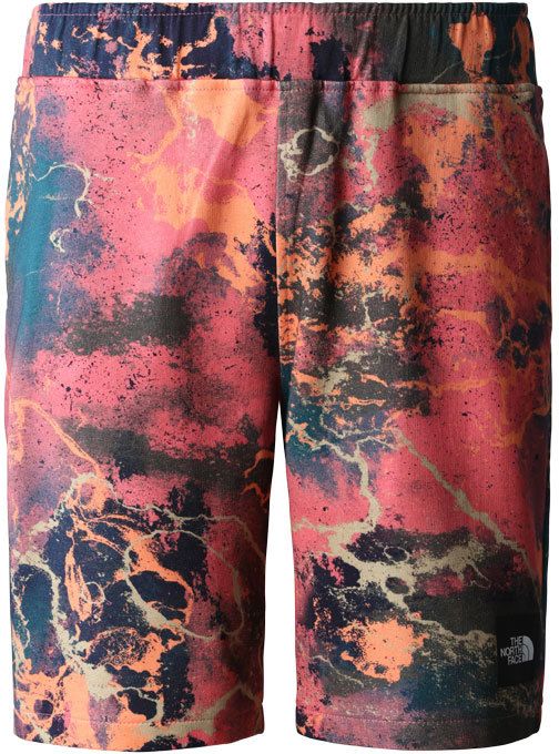 The North Face M Summer Logo Shorts