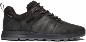 Timberland Field Trekker Low Black