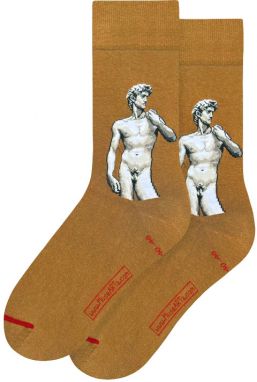 MuseARTa Clemente Papi - Plaster cast of Michelangelo's David and fig leaf