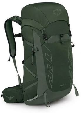 Osprey Talon 33 Green Canopy Pine Leaf