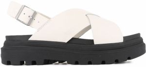 Palladium Pallacruise Crossed