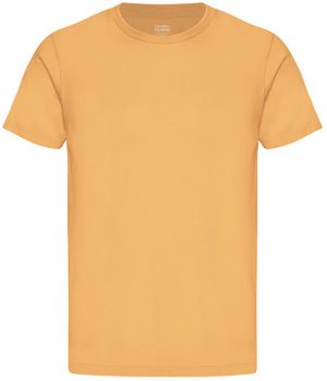 Colorful Standard Classic Organic Tee