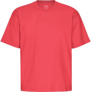 Colorful Standard Oversized Organic T-Shirt