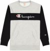 Champion Colour Block Kangaroo Pocket Reverse Weave Sweatshirt galéria