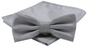 Sivý elegantný pánsky motýlik