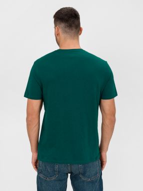 Farebné pánske tričko GAP logo 2 pack galéria