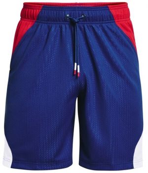 Kraťasy Under Armour EMBIID SIGNATURE SHORT-BLU