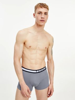 Sada troch boxeriek v modrej, šedej a červenej farbe Tommy Hilfiger galéria