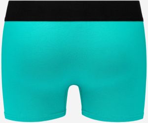 Boxerky Style Boxer 2 T/C Cuff 3D Logo 2Pcs Box - Emerald/Black Replay galéria