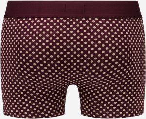 Boxerky Style 7 Cuff Logo&Print 2Pcs Box - Bordeaux/Light Grey Replay galéria