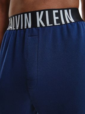 Voľnočasové nohavice pre mužov Calvin Klein - modrá galéria