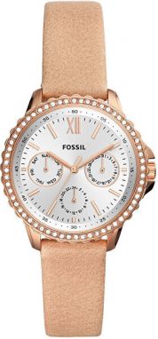 Fossil Izzy ES4888