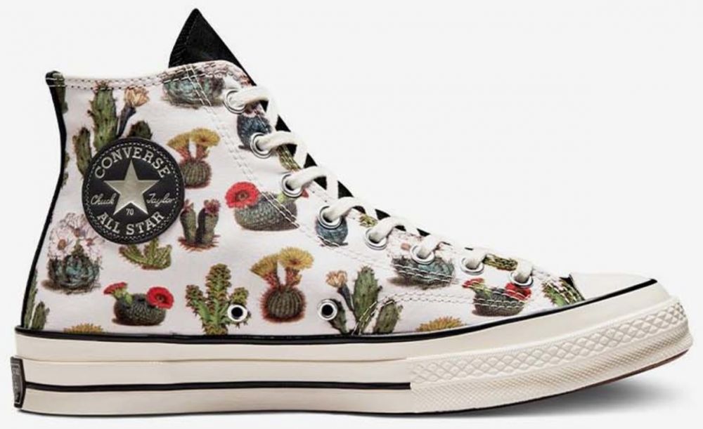 Succulent Tenisky Converse 