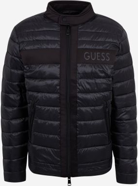 Bunda Guess 