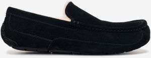 Ascot Papuče UGG 