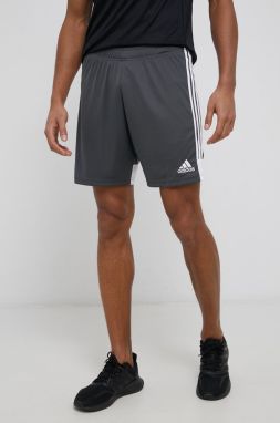 Tréningové šortky adidas Performance DP3255 pánske, šedá farba,