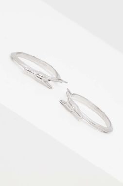 Náušnice Trussardi TJAXB04