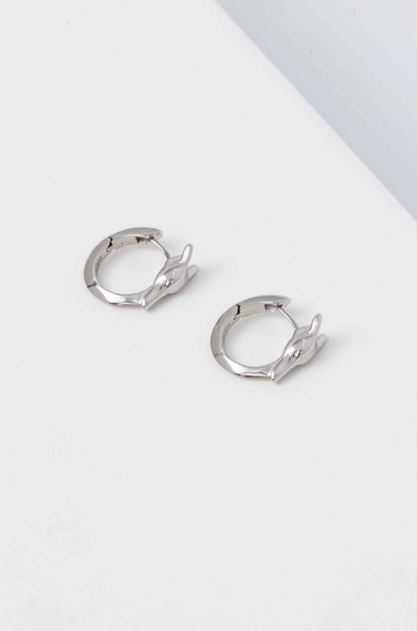 Náušnice Trussardi TJAXB05