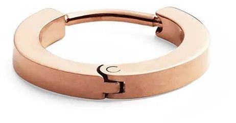Náušnica Daniel Wellington DW00400862