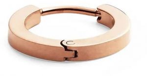 Náušnica Daniel Wellington DW00400862