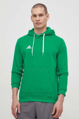Mikina adidas Performance Entrada 22 pánska, zelená farba, jednofarebná, HI2141