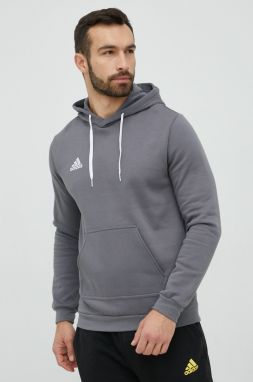 Mikina adidas Performance Entrada 22 pánska, šedá farba, s kapucňou, jednofarebná, HB0578