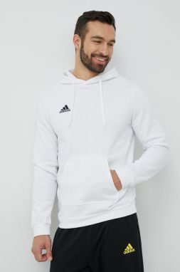 Mikina adidas Performance Entrada 22 pánska, biela farba, s kapucňou, jednofarebná, HG6302