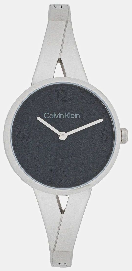 Hodinky Calvin Klein dámske, strieborná farba, 25100026
