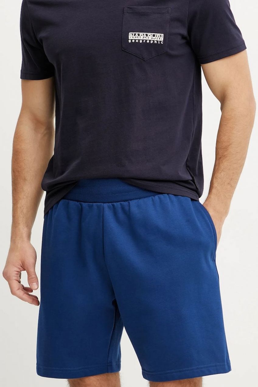 Šortky The North Face Easy Regular pánske, NF0A8C2SD1R1