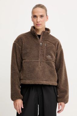 Fleecová mikina The North Face TNF Extreme Pile hnedá farba, s kapucňou, jednofarebná, NF0A88ZC1OI1