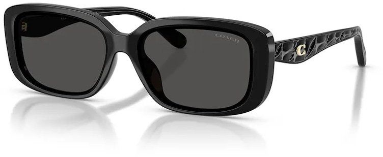 Slnečné okuliare Coach čierna farba, 0HC8444D